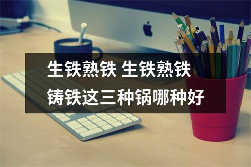 生铁熟铁 生铁熟铁铸铁这三种锅哪种好