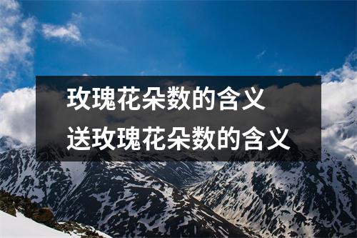 玫瑰花朵数的含义 送玫瑰花朵数的含义