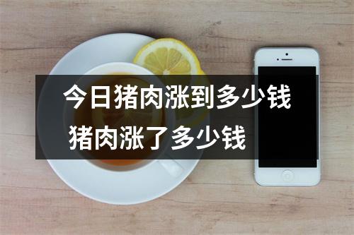 今日猪肉涨到多少钱 猪肉涨了多少钱
