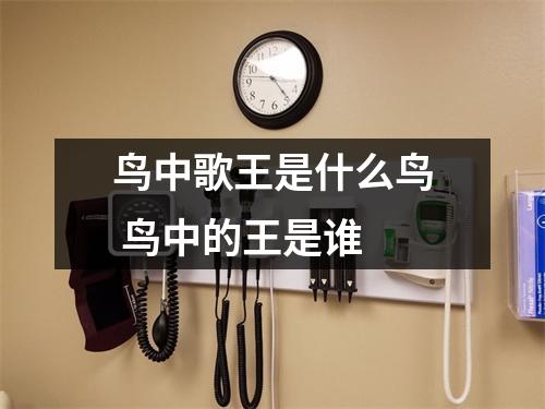 鸟中歌王是什么鸟 鸟中的王是谁