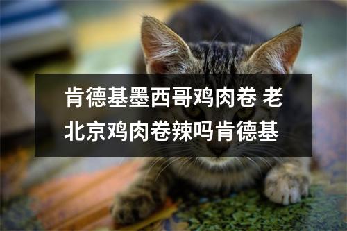 肯德基墨西哥鸡肉卷 老北京鸡肉卷辣吗肯德基