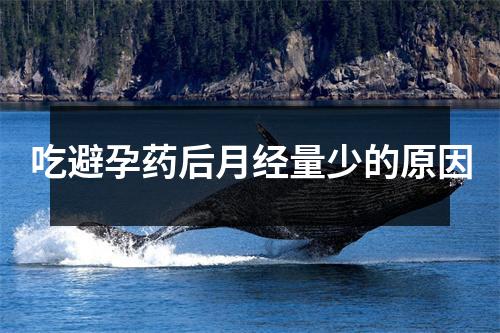 吃避孕药后月经量少的原因