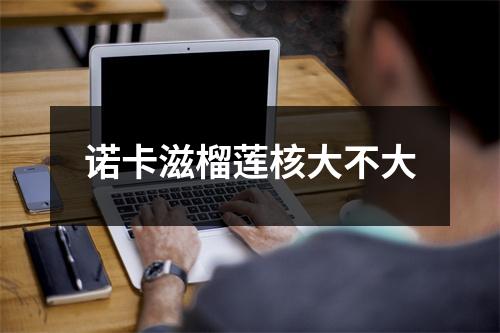 诺卡滋榴莲核大不大