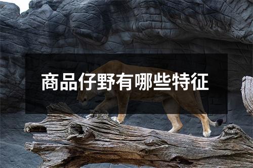 商品仔野有哪些特征