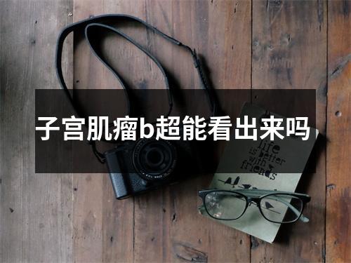 子宫肌瘤b超能看出来吗