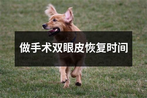 做手术双眼皮恢复时间