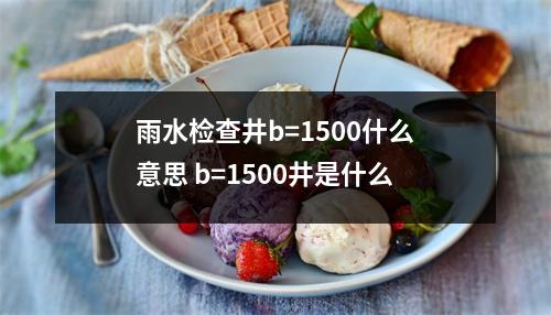 雨水检查井b=1500什么意思 b=1500井是什么