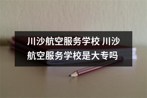 川沙航空服务学校 川沙航空服务学校是大专吗