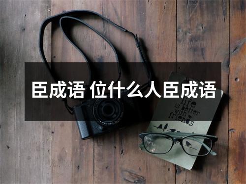 臣成语 位什么人臣成语