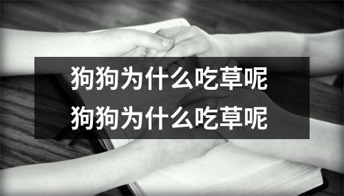 狗狗为什么吃草呢 狗狗为什么吃草呢