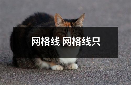 网格线 网格线只