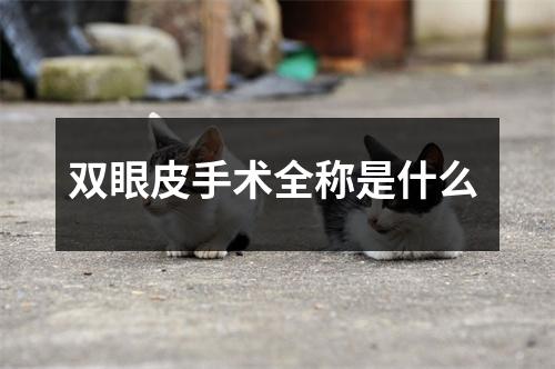 双眼皮手术全称是什么