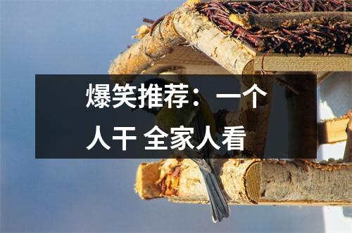 爆笑推荐：一个人干 全家人看