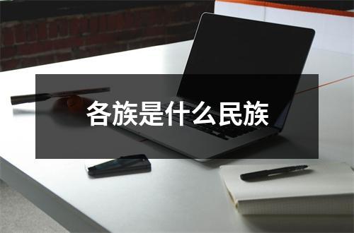 各族是什么民族