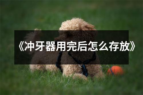 《冲牙器用完后怎么存放》