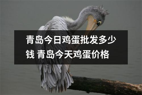 青岛今日鸡蛋批发多少钱 青岛今天鸡蛋价格