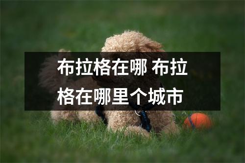 布拉格在哪 布拉格在哪里个城市 布拉格在哪 布拉格在哪里个城市