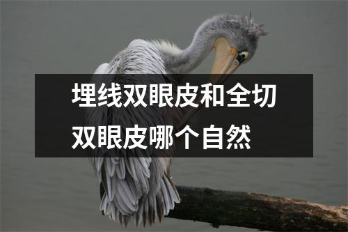 埋线双眼皮和全切双眼皮哪个自然