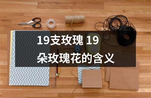 19支玫瑰 19朵玫瑰花的含义