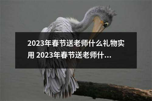 2023年春节送老师什么礼物实用 2023年春节送老师什么礼物实用呢