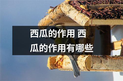 西瓜的作用 西瓜的作用有哪些