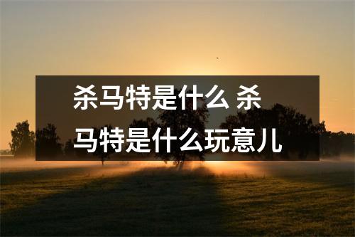 杀马特是什么 杀马特是什么玩意儿