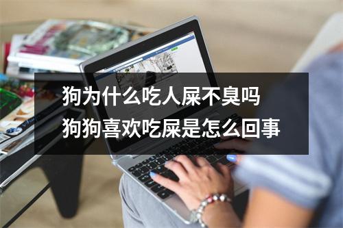 狗为什么吃人屎不臭吗 狗狗喜欢吃屎是怎么回事