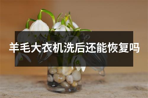 羊毛大衣机洗后还能恢复吗