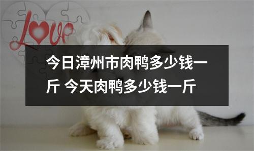 今日漳州市肉鸭多少钱一斤 今天肉鸭多少钱一斤