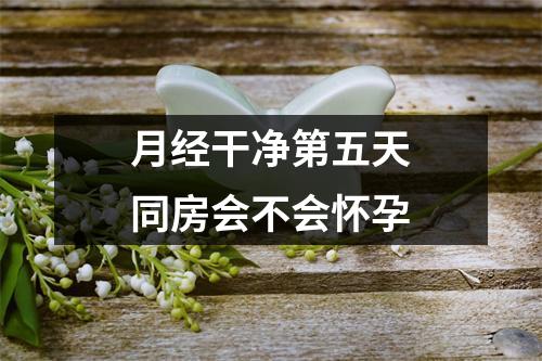 月经干净第五天同房会不会怀孕