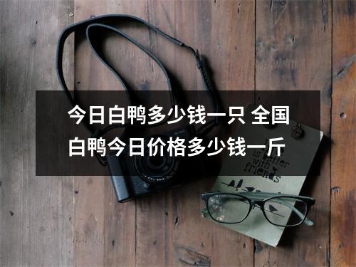 今日白鸭多少钱一只 全国白鸭今日价格多少钱一斤