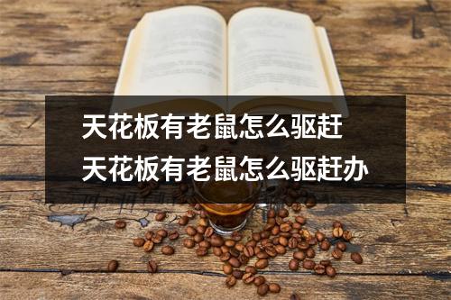 天花板有老鼠怎么驱赶 天花板有老鼠怎么驱赶办