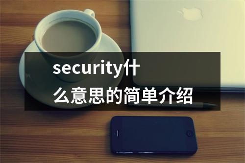 security什么意思的简单介绍