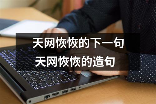 天网恢恢的下一句 天网恢恢的造句