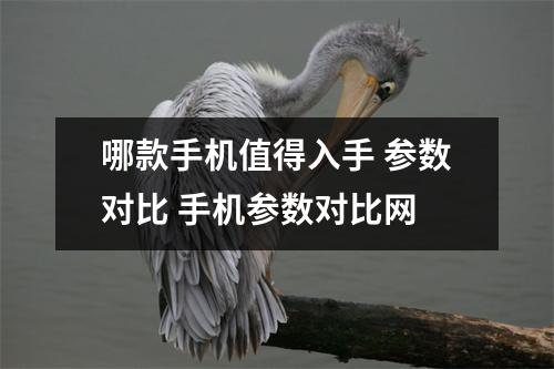 哪款手机值得入手 参数对比 手机参数对比网