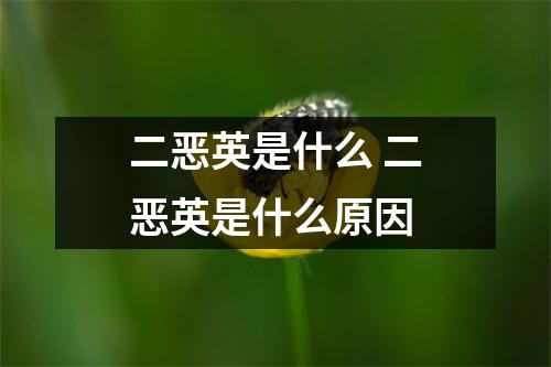 二恶英是什么 二恶英是什么原因