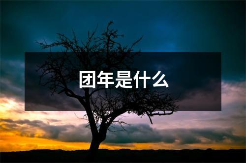 团年是什么