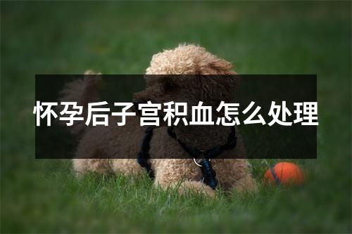 怀孕后子宫积血怎么处理