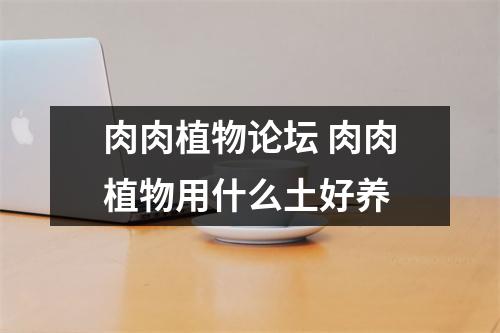 肉肉植物论坛 肉肉植物用什么土好养