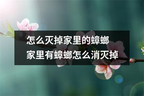 怎么灭掉家里的蟑螂 家里有蟑螂怎么消灭掉