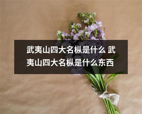 武夷山四大名枞是什么 武夷山四大名枞是什么东西