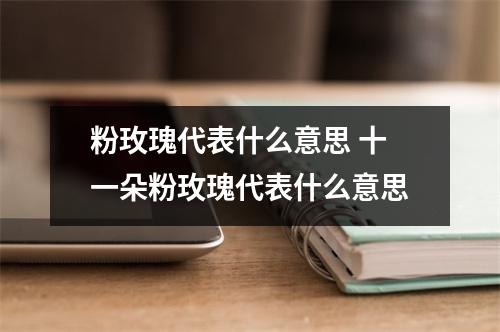 粉玫瑰代表什么意思 十一朵粉玫瑰代表什么意思