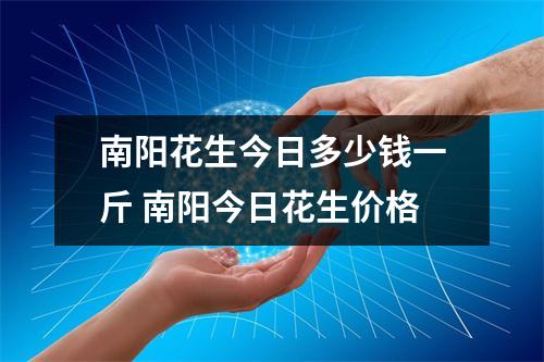 南阳花生今日多少钱一斤 南阳今日花生价格