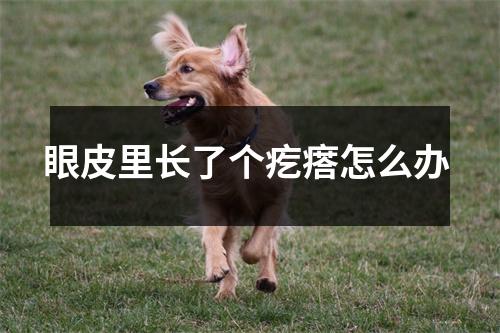 眼皮里长了个疙瘩怎么办