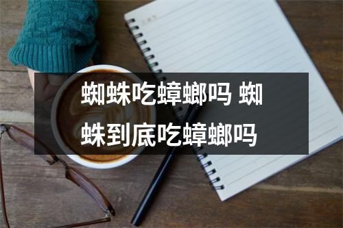 蜘蛛吃蟑螂吗 蜘蛛到底吃蟑螂吗