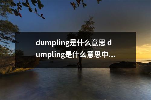 dumpling是什么意思 dumpling是什么意思中文