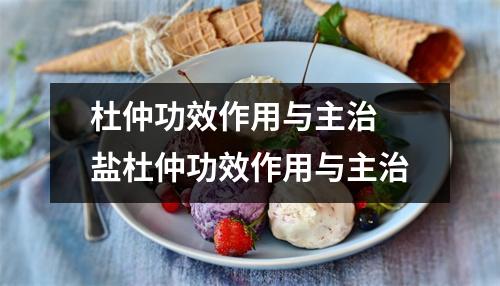 杜仲功效作用与主治 盐杜仲功效作用与主治
