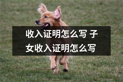 收入证明怎么写 子女收入证明怎么写