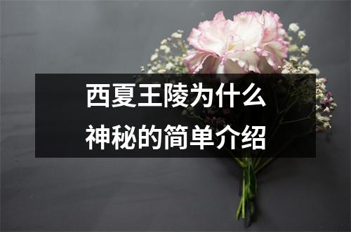 西夏王陵为什么神秘的简单介绍 西夏王陵为什么神秘的简单介绍