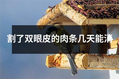 割了双眼皮的肉条几天能消